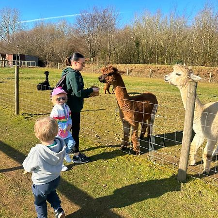 Glade Lodge- North Devon Coast, Bideford Bay Caravan Park Luaran gambar