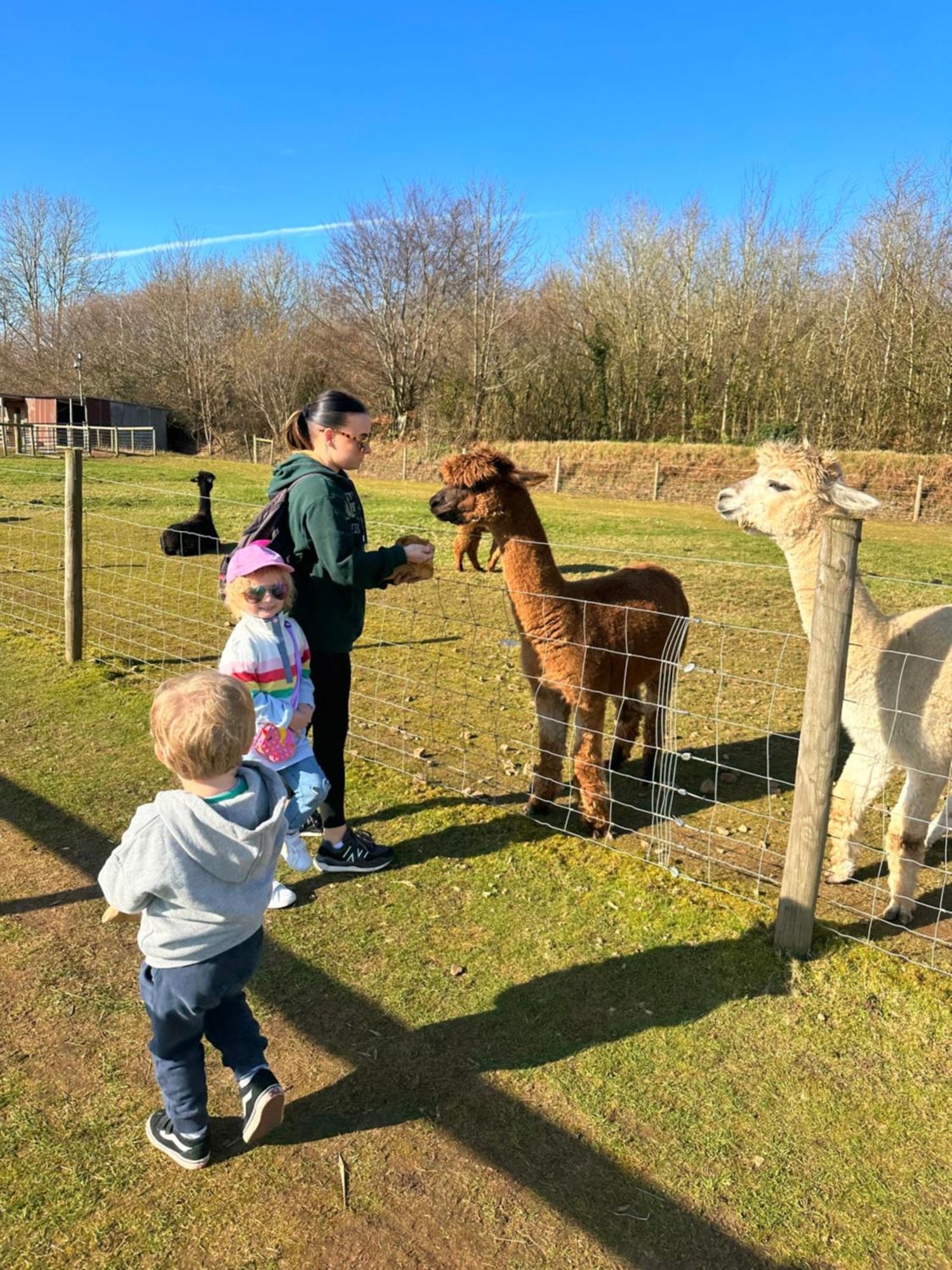 Glade Lodge- North Devon Coast, Bideford Bay Caravan Park Luaran gambar